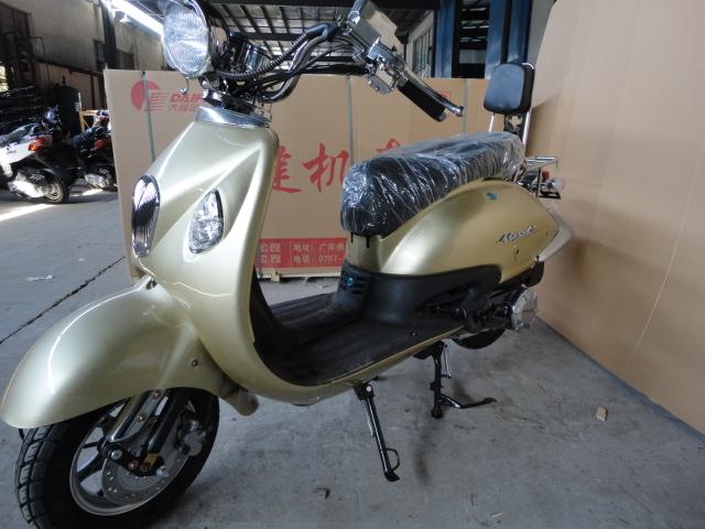 大龜王圖片/大龜王樣板圖 (3)