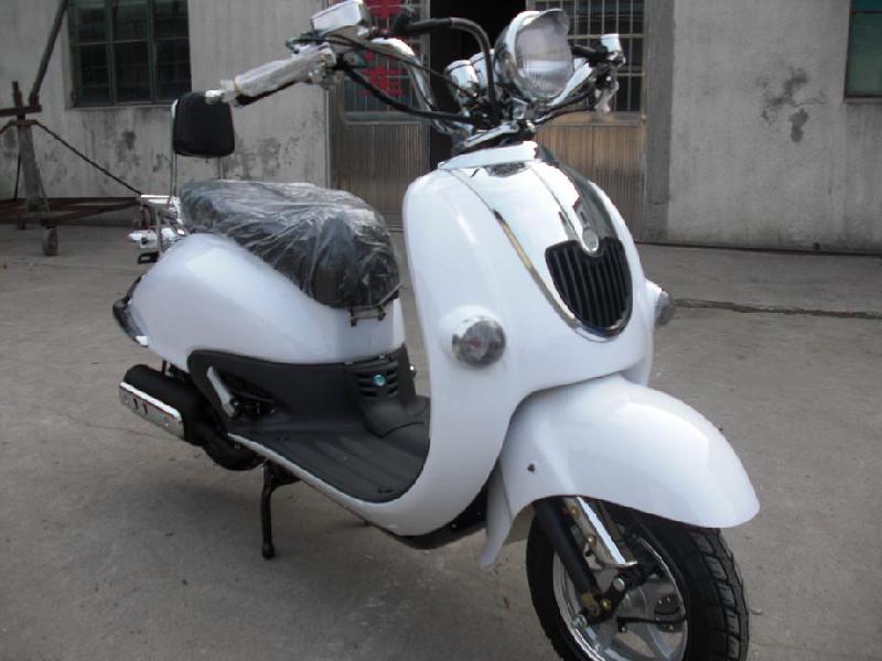 供應(yīng)大龜王批發(fā)-大龜王批發(fā)商-大龜王批發(fā)價(jià)格