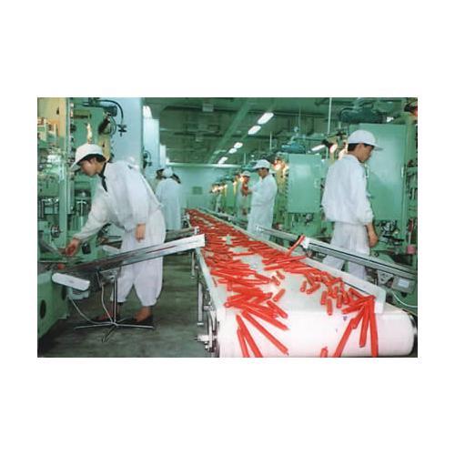 塑料機械輸送帶，食品輸送帶