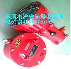 DGS50/127LA礦用隔爆型LED巷道燈圖片/DGS50/127LA礦用隔爆型LED巷道燈樣板圖 (4)