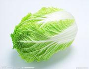供應(yīng)青雜三號(hào)白菜