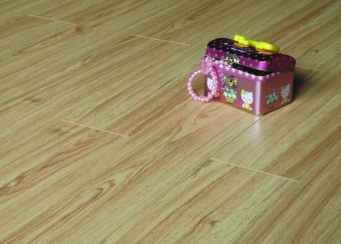 漢陽強(qiáng)化復(fù)合地板專賣店圖片