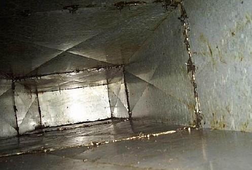 供應(yīng)廣西南寧抽油煙機清洗公司