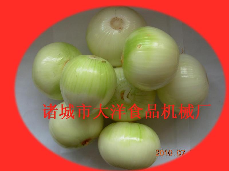 干式洋蔥脫皮機(jī)全自動(dòng)洋蔥脫皮機(jī)、洋蔥加工機(jī)械