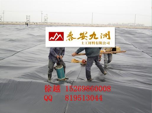 供應(yīng)土工膜，土工膜廠家，土工膜價(jià)格*