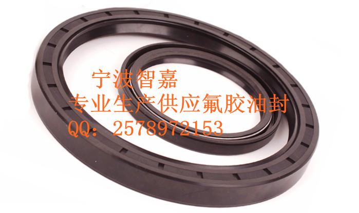 供應(yīng)Oilseal骨架油封