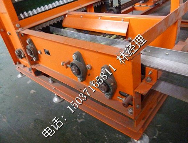 供應(yīng)自動(dòng)化三層集蛋機(jī)