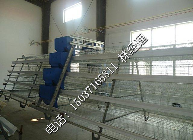 供應(yīng)河南金鳳牧業(yè)養(yǎng)殖設(shè)備蛋雞籠*雞籠廠