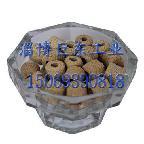 硅藻的 硅藻的三生三世 硅藻純的三生三世