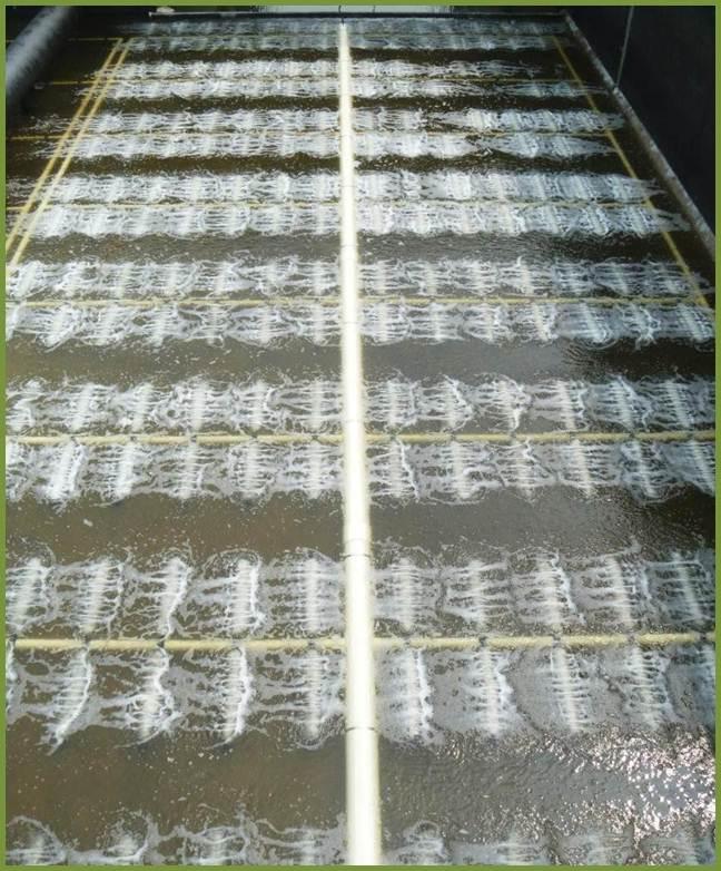 供應(yīng)進(jìn)口橡膠微孔管式曝氣器盤式曝氣器