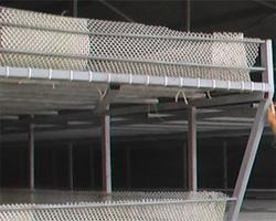 供應(yīng)青島塑料平網(wǎng)青島養(yǎng)殖用塑料平網(wǎng)