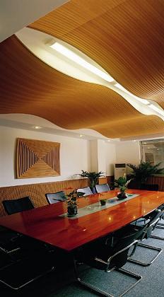 供應(yīng)迪思林天花弧形造型