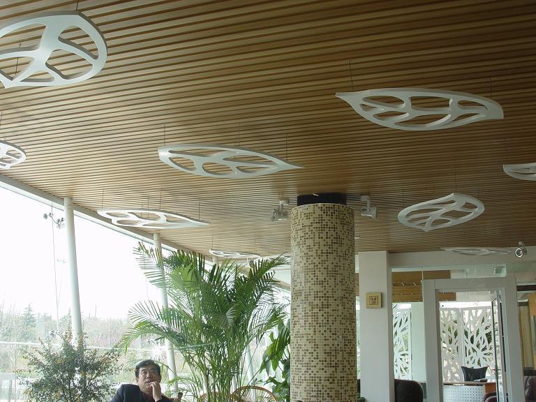 迪思林生態(tài)木售樓處長城板圖片