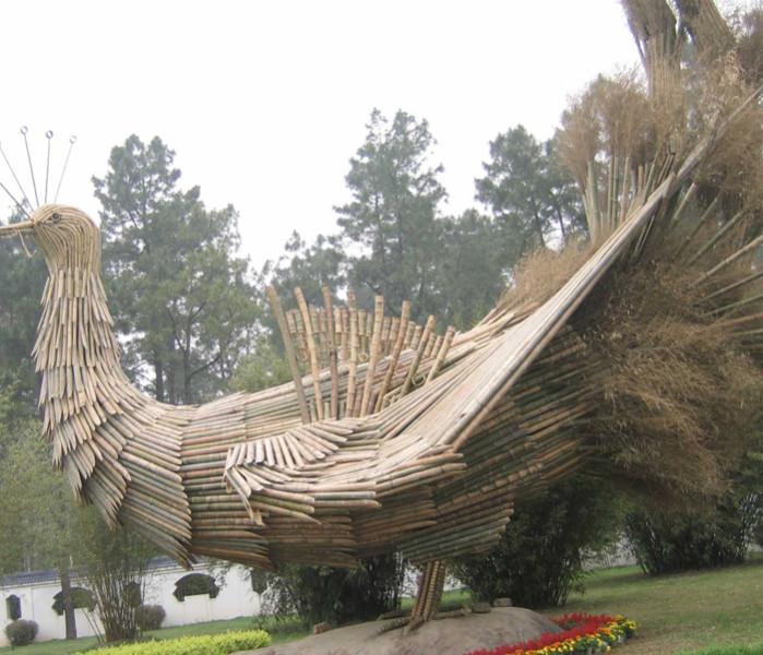 毛竹圖片/毛竹樣板圖 (3)