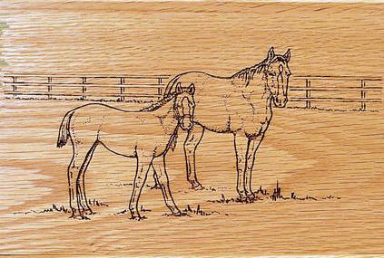 供應(yīng)包裝盒酒盒烙印機