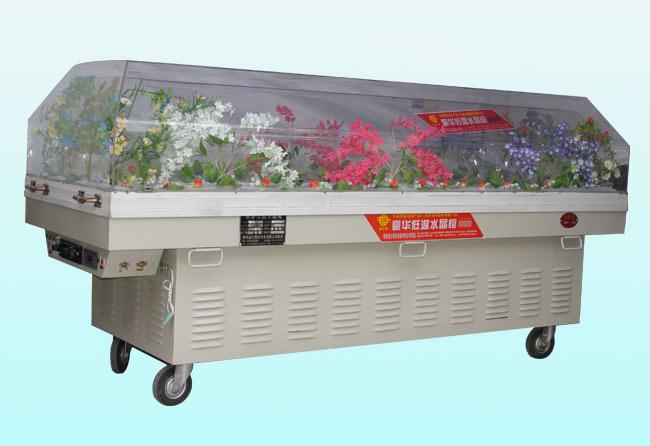 供應(yīng)福建省冰棺水晶棺廠 水晶棺