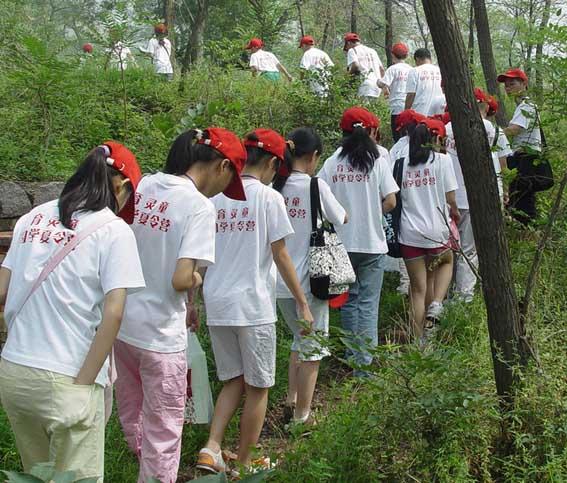 杭州市专业定做儿童广告衫文化衫空白T恤厂家