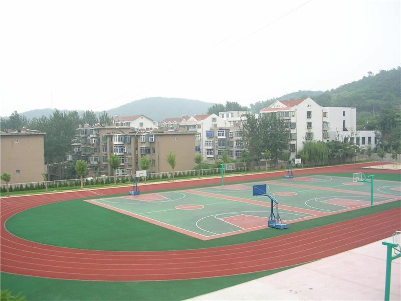 大慶市塑膠跑道專業(yè)施工圖片