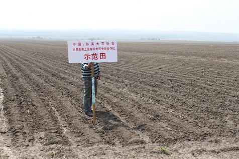 黑河市黑龙江非转基因玉米厂家