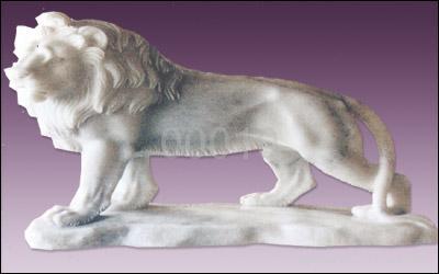 供應(yīng)西洋爬獅