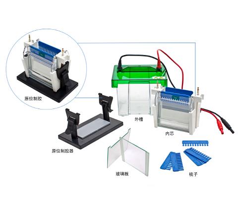 厂家供应迷你双垂直电泳仪（槽）图片
