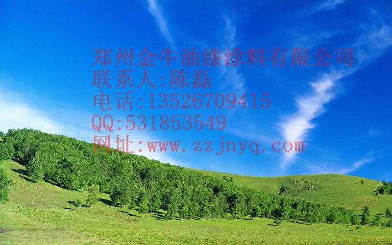 供應上街新鄭聚氨酯底漆