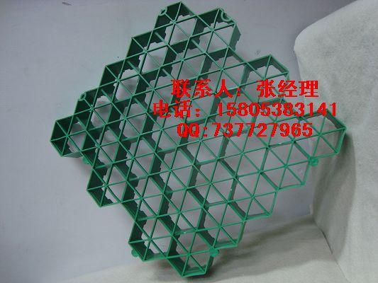 供應(yīng)海南HDPE植草格,園林綠化*植草格廠家直銷