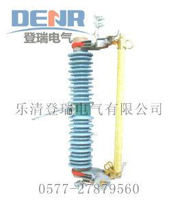 PRWG2跌落式熔斷器圖片