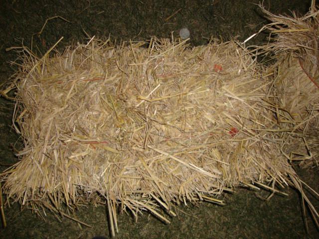 供應(yīng)用于牛場(chǎng)的粉碎稻草飼料