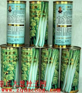 章丘大蔥圖片/章丘大蔥樣板圖 (4)