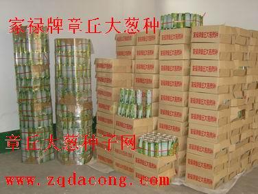 供應(yīng)章丘大蔥種-章丘大蔥種植技術(shù)-章丘大蔥價(jià)格-大蔥種植機(jī)械-蔥種子