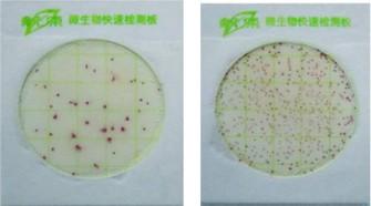 大肠杆菌大肠菌群测试片24图片