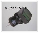 指示燈D16PLS000圖片