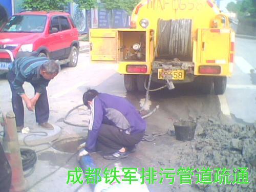供應(yīng)都江堰汽車抽糞