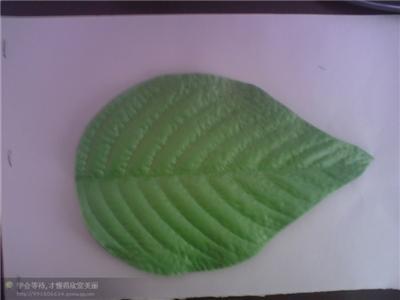 清明花材料批發(fā)圖片