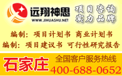 河北省石家庄商业计划书远翔神思代图片