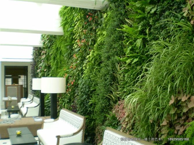 稻森垂直綠化-墻上的藝術(shù)！稻森垂直綠化墻上的藝術(shù)