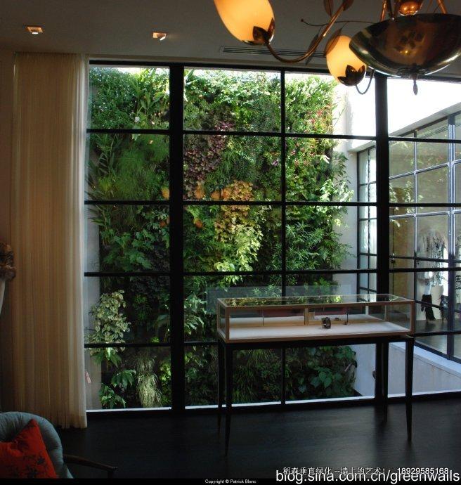 綠墻的妙用找到你心目中的那面綠色