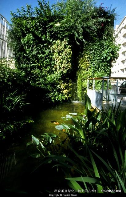 福州植物墻廣州稻森