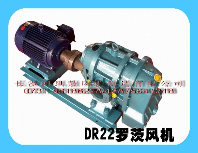 供應(yīng)長沙湘風(fēng)DR221羅茨鼓風(fēng)機