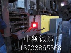 圓鋼紅燒加熱鍛造設(shè)備圖片/圓鋼紅燒加熱鍛造設(shè)備樣板圖 (2)