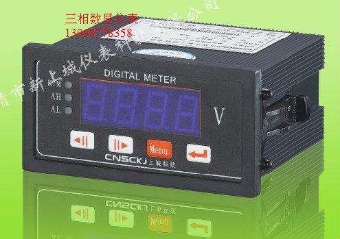 供應(yīng)濰坊PN192-V電流電壓表PN192-VI PN191-Z