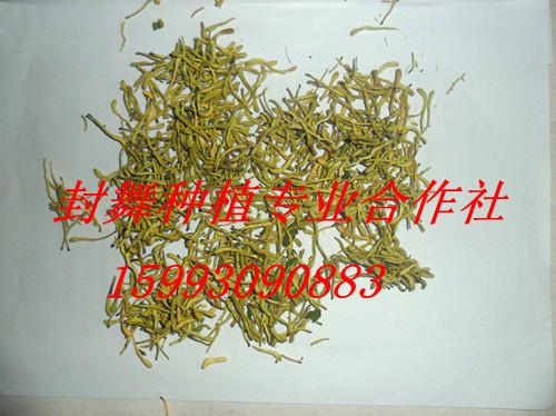 供應原產(chǎn)地金銀花價格