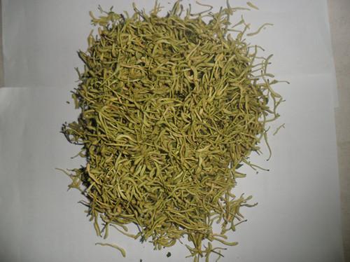 新鄉(xiāng)金銀花價格圖片