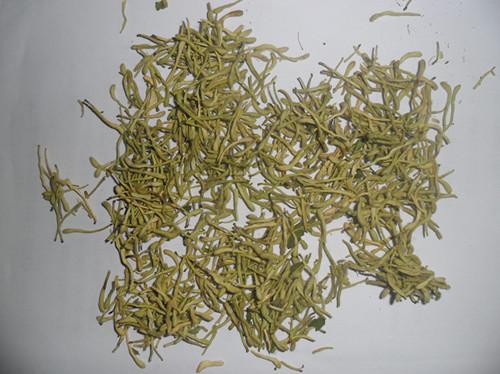 封丘金銀花價(jià)格圖片