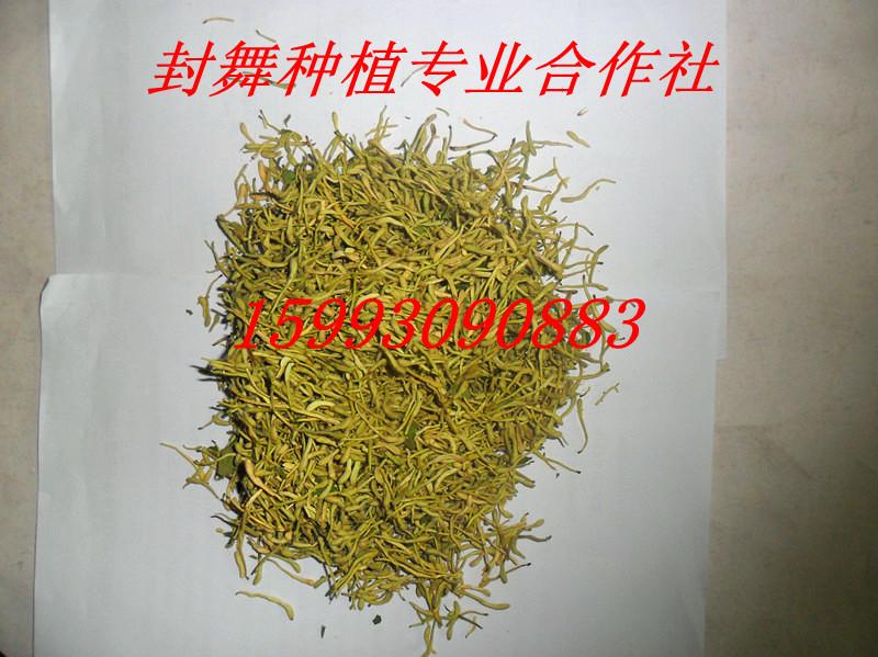 供應(yīng)河南原產(chǎn)地金銀花價格