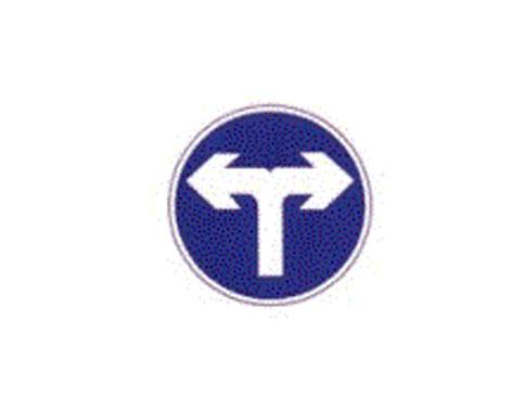 供應(yīng)YLVB027指示標志牌