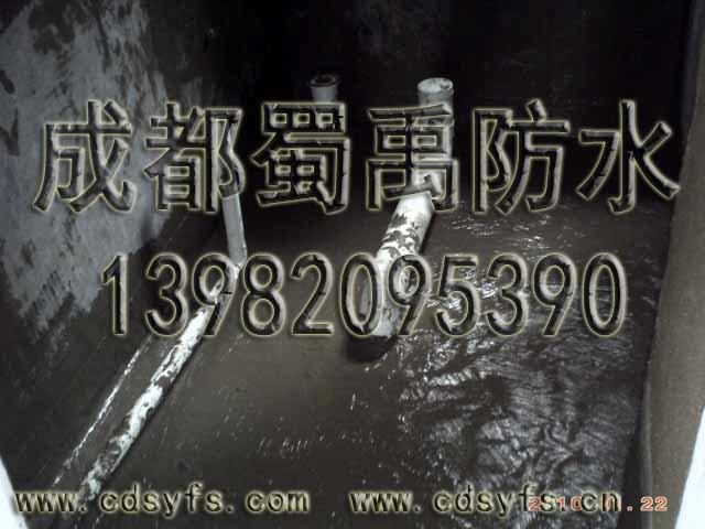 供應(yīng)衛(wèi)生間廚房防水施工工藝 成都專業(yè)衛(wèi)生間廚房防水 成都專業(yè)防水公司