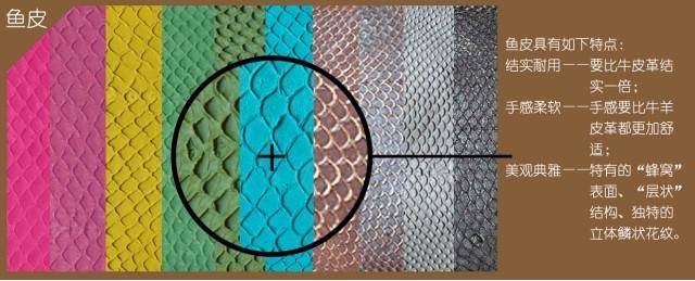 供應魚皮畫赫哲族魚皮 魚皮畫赫哲族魚皮  制作魚皮畫魚