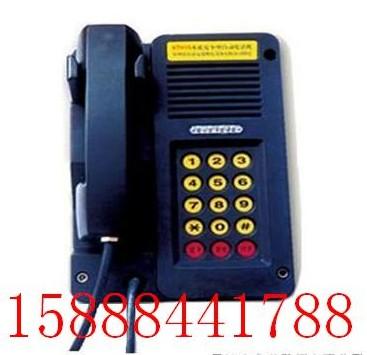 本質(zhì)安全自動電話機圖片